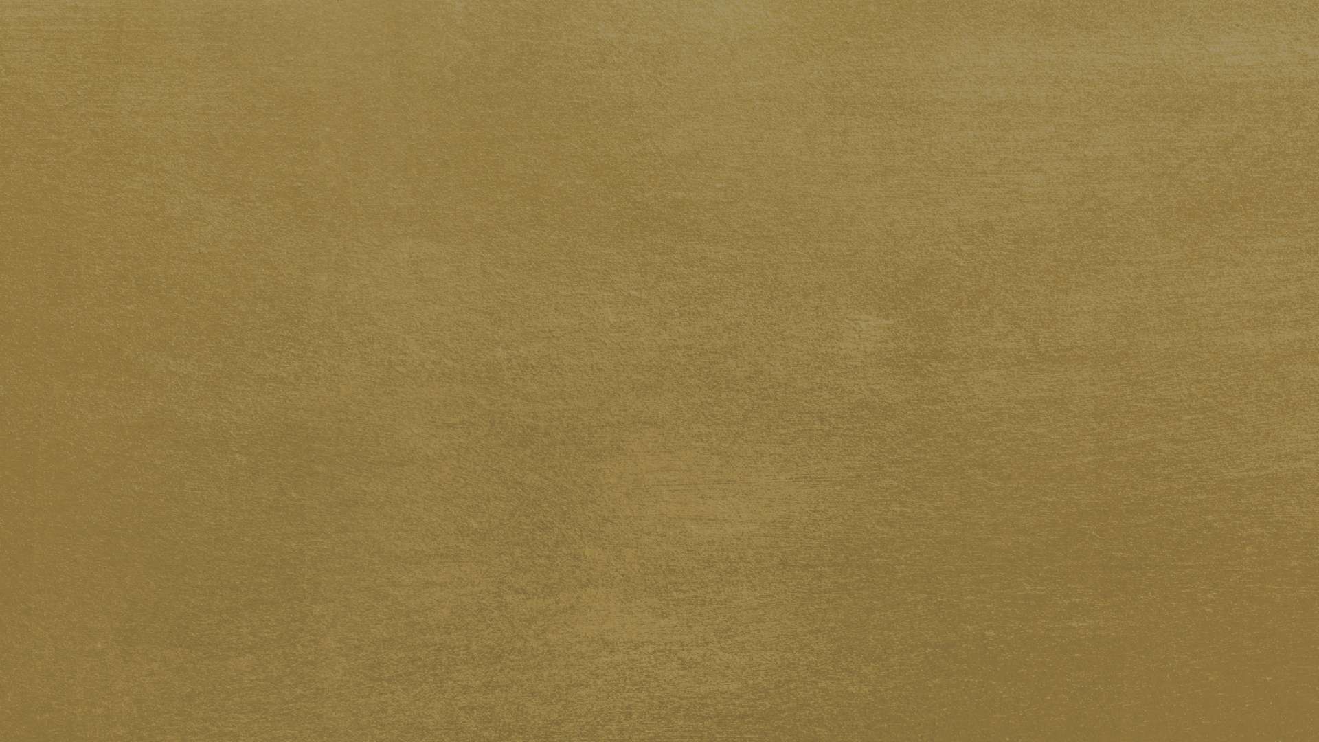 Live Online-Coaching